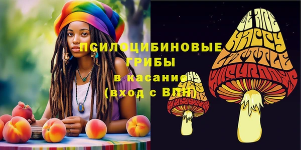 крисы Аркадак