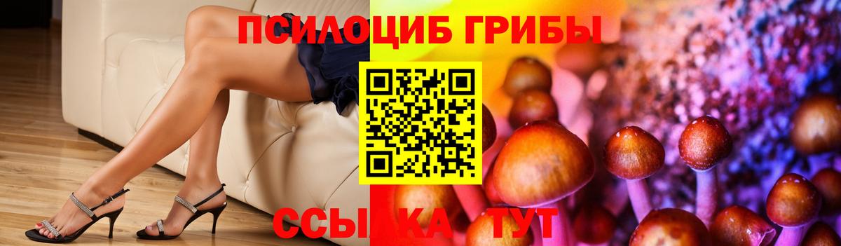 Cocaine Нововоронеж